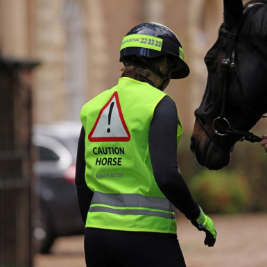 Shires EQUI-FLECTORÂ® Safety Vest